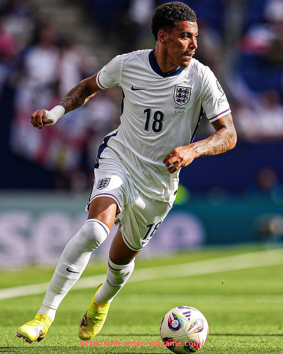 问鼎娱乐官方网站-意甲联赛与欧冠球队实力对比及表现分析