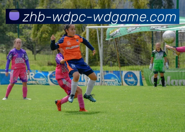 多媒体互动体验